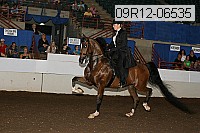 09r12-06535 proof