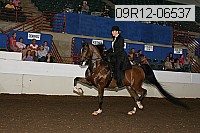 09r12-06537 proof