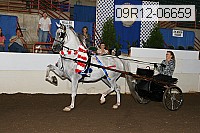 09r12-06659 proof