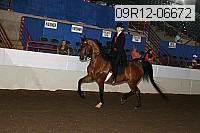 09r12-06672 proof