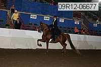 09r12-06677 proof