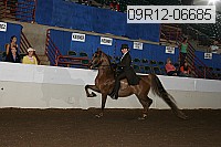 09r12-06685 proof