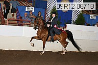 09r12-06718 proof