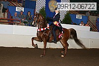 09r12-06722 proof