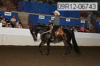 09r12-06743 proof