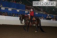 09r12-06745 proof