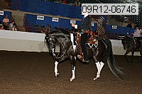 09r12-06746 proof