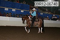 09r12-06748 proof
