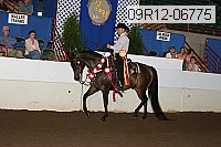 09r12-06775 proof
