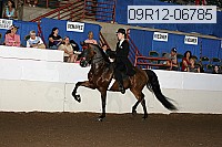 09r12-06785 proof