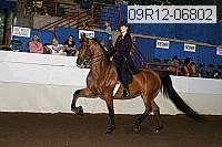 09r12-06802 proof