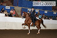 09r12-06883 proof