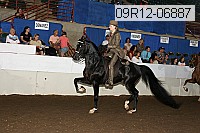 09r12-06887 proof
