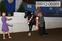 09r12-06889 proof