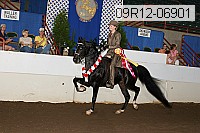 09r12-06901 proof