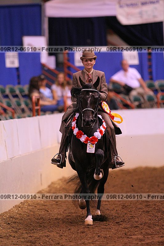 Proof 09r12-06910