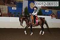 09r12-06933 proof