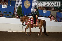 09r12-06941 proof