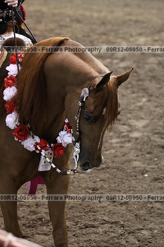 Proof 09r12-06950
