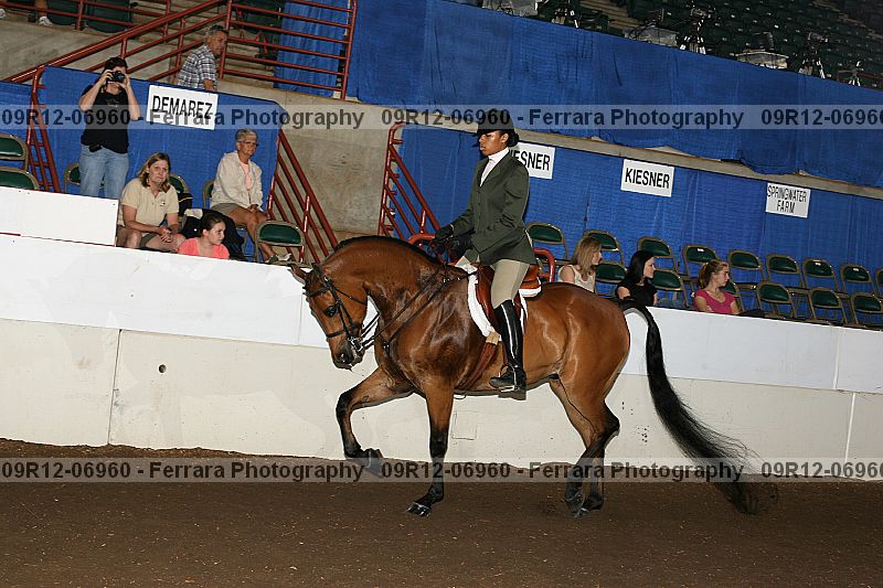 Proof 09r12-06960