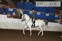 09r12-06963 proof