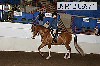 09r12-06971 proof