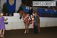 09r12-06973 proof