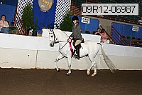 09r12-06987 proof