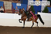 09r12-07032 proof
