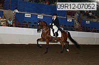 09r12-07052 proof