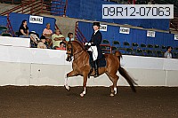 09r12-07063 proof