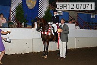 09r12-07071 proof