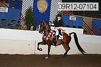 09r12-07104 proof