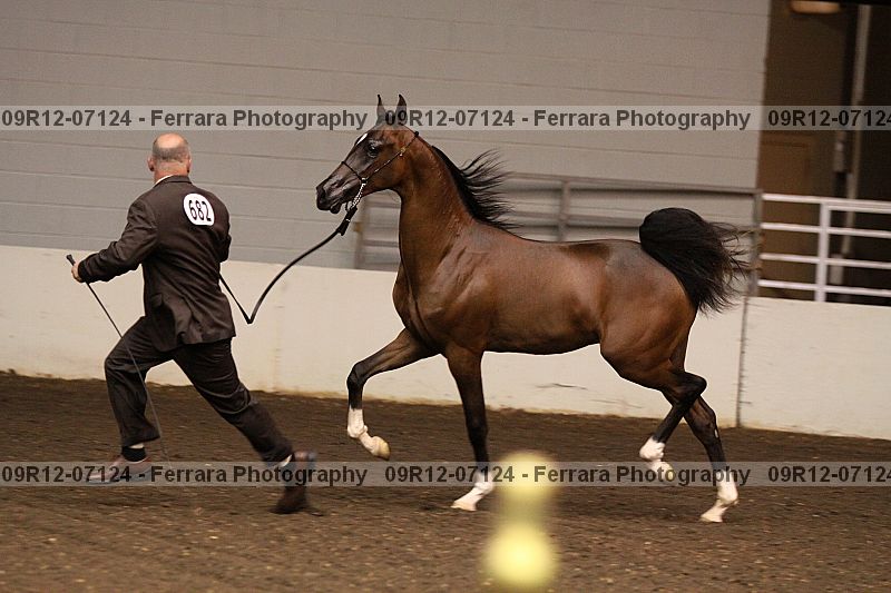 Proof 09r12-07124