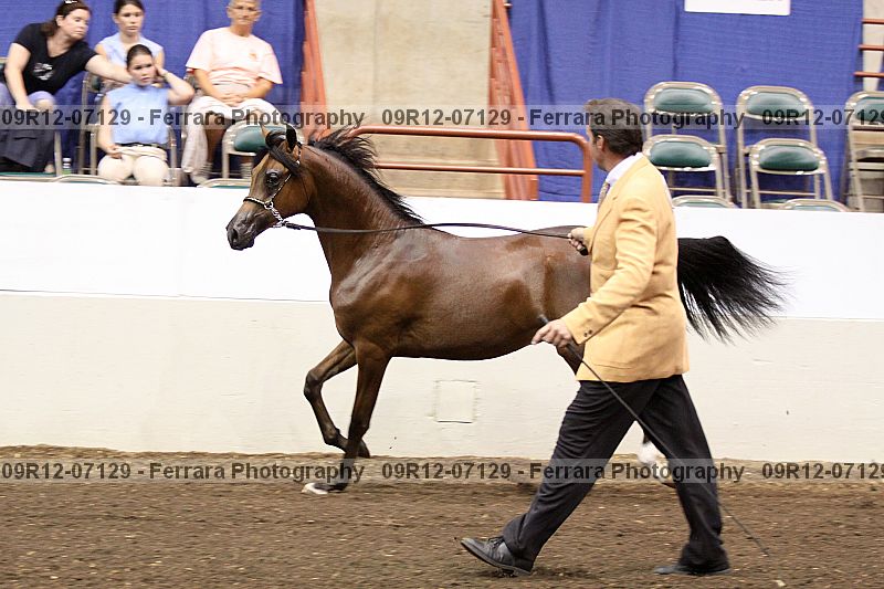 Proof 09r12-07129
