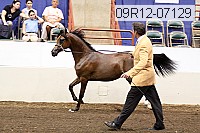 09r12-07129 proof