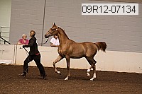 09r12-07134 proof