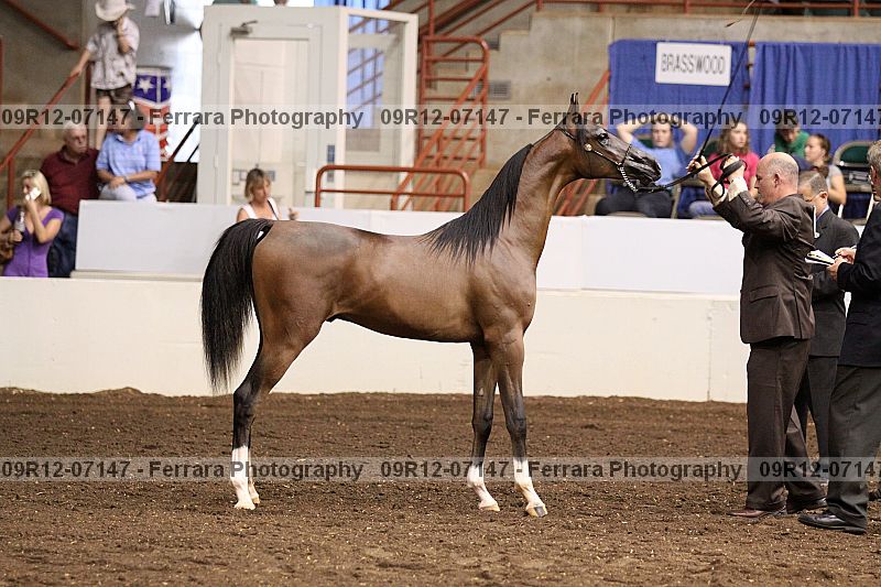Proof 09r12-07147