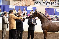09r12-07152 proof