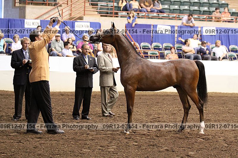 Proof 09r12-07154