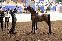 09r12-07157 proof