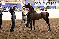 09r12-07158 proof