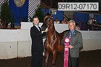 09r12-07170 proof