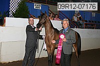 09r12-07176 proof