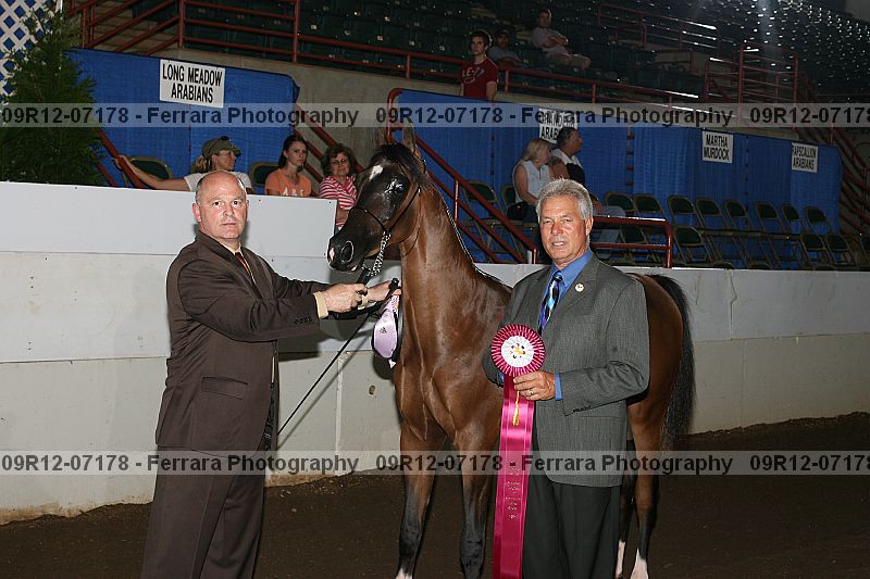 Proof 09r12-07178