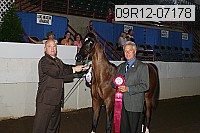 09r12-07178 proof