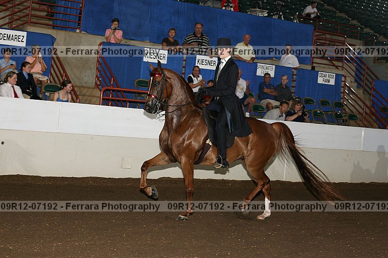 Proof 09r12-07192