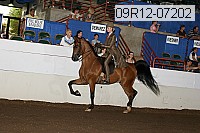 09r12-07202 proof