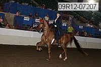 09r12-07207 proof