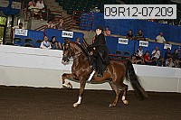 09r12-07209 proof
